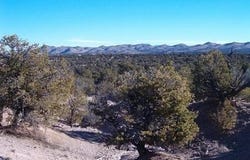 Lot 45 Abbe Springs, Magdalena, NM 87825