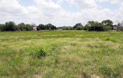 Tbd FM 86 Highway, Lockhart, TX 78644