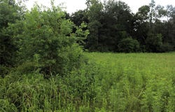 2.8 ac Hwy 90, Devers, TX 77575