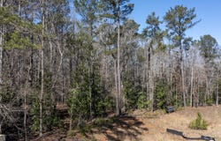 0 Roosevelt, Warm Springs, GA 31830