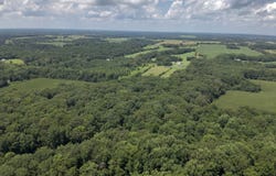 0 Snake Road, Athens, AL 35611
