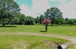TBD Old Post Rd/Stagecoach Rd, Texarkana, AR 71854