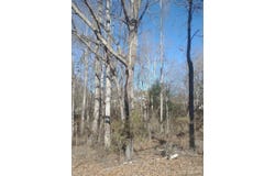 3360 Tolley Street, Claremont, NC 28610