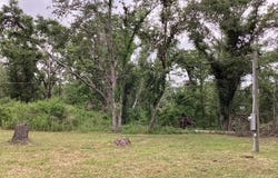 317 SE Centerwood Lane, Lee, FL 32059-5758