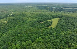 6295 CO RD 8, Florence, AL 35630