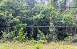 Evans Road, Gulfport, MS 39507