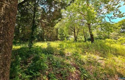 151 Dowdle Street, Millport, AL 35576