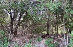 Pr 1032 Tx-P7, Meridian, TX 76665