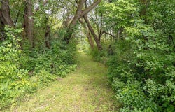 22660 713th Avenue, Dassel, MN 55325