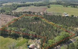 S County Rd 49, Slocomb, AL 36375