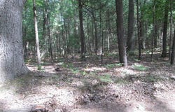 Victoria Boulevard, Pentwater, MI 49449