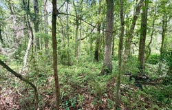 N 5TH Street, Macclenny, FL 32063