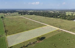 P2l13 County Road 463, Mexia, TX 76667