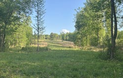 0 Needmore Road - (345.37 acres), Roopville, GA 30170