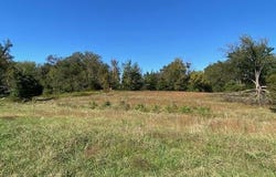 5701 Roberts Rd, Corryton, TN 37721