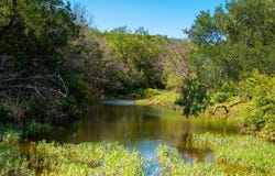 13500 County Road 224, No City, TX 76827
