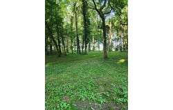 0 1st N Street, Cannelton, IN 47520