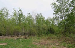 TBD Section 16, Covington, MI 49919