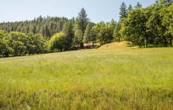6004 Thompson Creek Road, Applegate, OR 97530