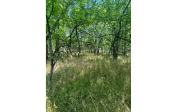 Black Land Road, Haworth, OK 74740