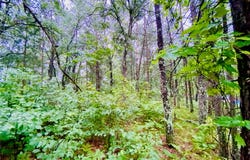 0 North Point Drive, Minong, WI 54859