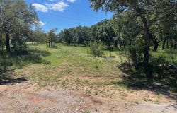 W1114 Blister Gold, Horseshoe Bay, TX 78657