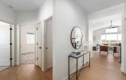844 Doubleleaf Dr, Windsor, CO 80550