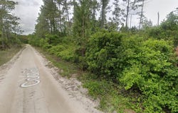 116 COOT ROAD, SATSUMA, FL 32189