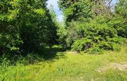 574 Caleb Road, Braidwood, IL 60408