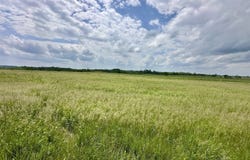 Lot 1 Zion Zion Road, Hamden, OH 45634