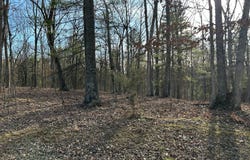 MISTY MEADOWS Lane, AUGUSTA, WV 26704