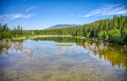 2280 North Fork Road, Columbia Falls, MT 59912
