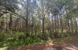 W Smith Ferry Road, Sontag, MS 39665
