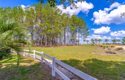 8651 SW 83RD LOOP, OCALA, FL 34481