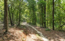 785 Moncrief Road, Roberta, GA 31078