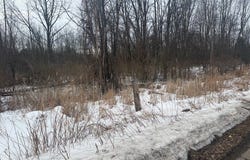 N Gravel Road, Ridgeway, NY 14103