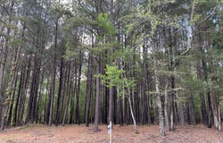 Tbd/Lot 1 Henry Oldham Road, Bear Creek, NC 27207