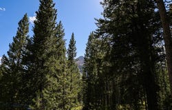 Beehive Basin Road, Big Sky, MT 59716