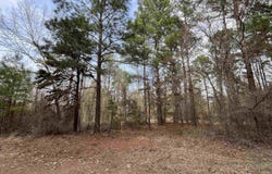 Tract 5 Venus Rd, White Oak, TX 75693
