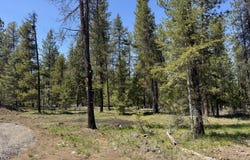 Nhn Franko Lane, Trout Creek, MT 59874