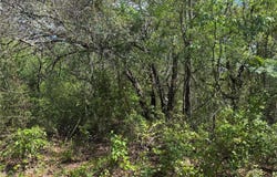 CASAURINA ROAD, LADY LAKE, FL 32159