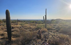 8315 E ECHO CANYON Street, Mesa, AZ 85207