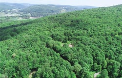 16.1 & 16.2 Scutt Mtn Road, Stamford, NY 13739