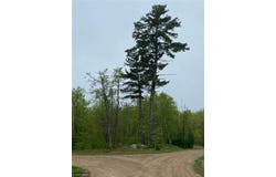 Lot 17 Bear Tract Lane NE, Longville, MN 56655
