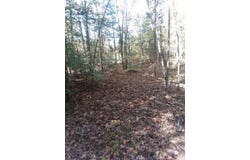 01 Forest Oak Church Road, Drakesboro, KY 42337