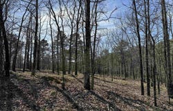 TBD Sangster Lane, Hot Springs, AR 71901