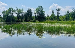 Macey Lane, Alpena, MI 49707