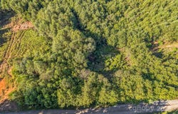307 RC Road, Traphill, NC 28685