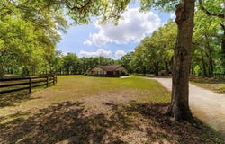 21990 NE HIGHWAY 27, WILLISTON, FL 32696