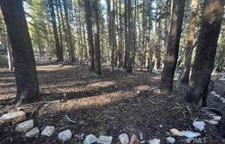 Tamarack Ln, Virginia Lakes, CA 93517